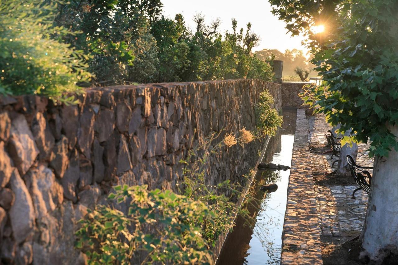 Chateau Saint Roux Le Luc-Le Cannet Des Maures 外观 照片